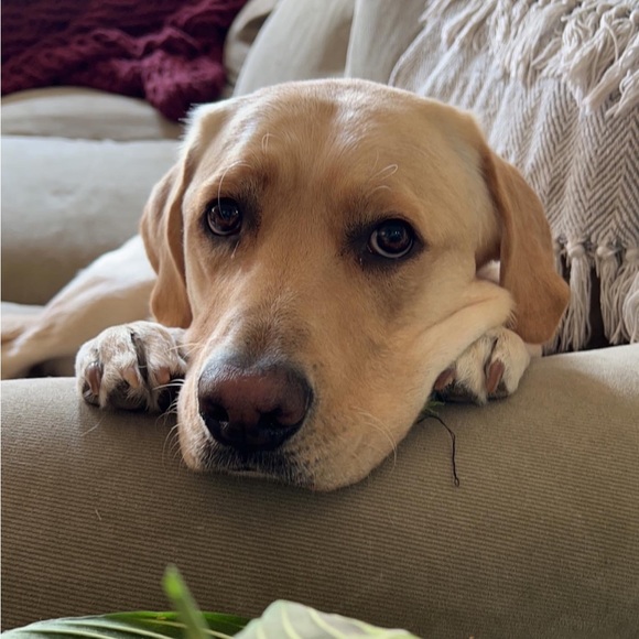 Meet your Posher, Dainera - Picture 4 of 4